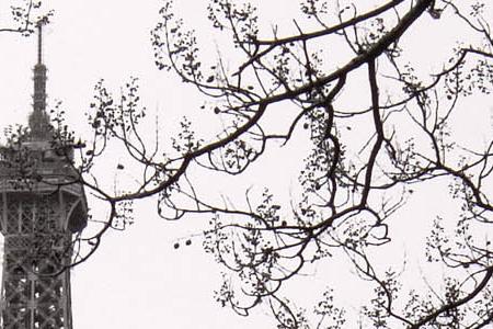 Фрагмент Spring- La Tour Eiffel 1.