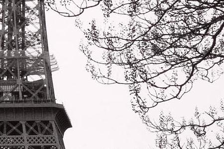 Фрагмент Spring- La Tour Eiffel 1.