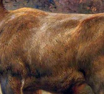 Фрагмент STAG IN AN AUTUMN LANDSCAPE