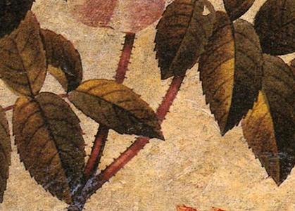 Фрагмент Старинная композиция из розовых цветов от Памелы