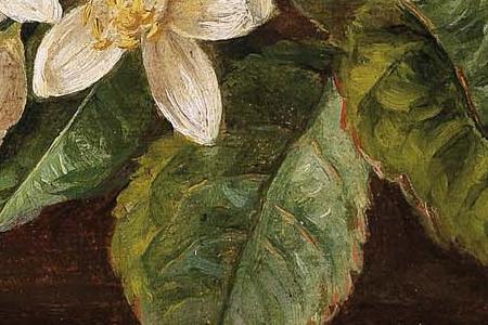 Фрагмент still life with roses