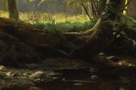 Фрагмент stream through the woods