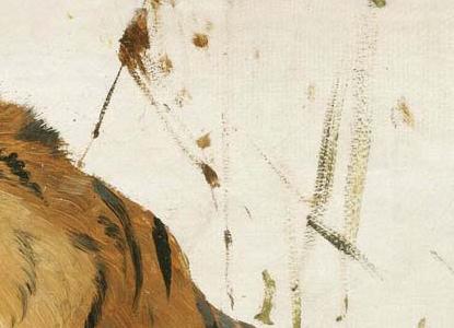 Фрагмент STUDY OF A TIGER