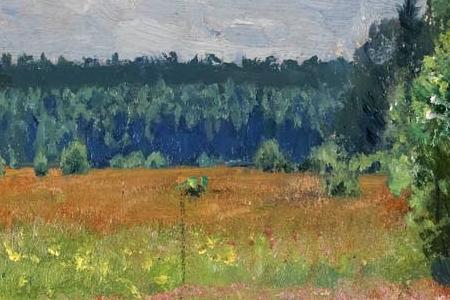 Фрагмент SUMMER MEADOW POBOJKA