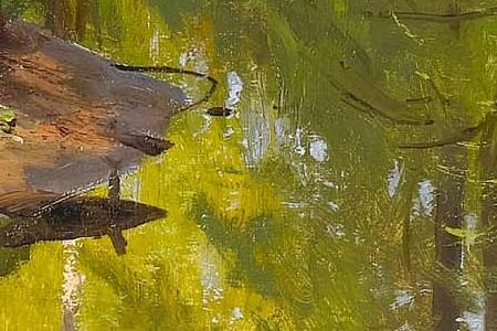 Фрагмент Sunlight in a wood