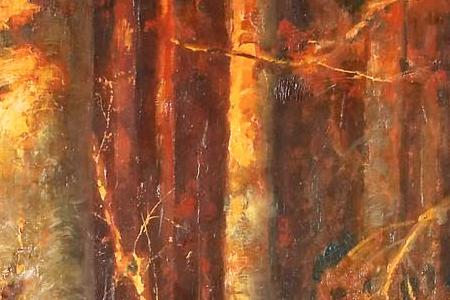 Фрагмент Sunset in the forest