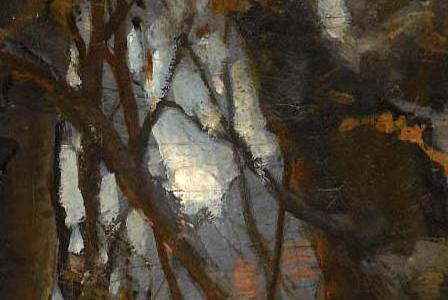 Фрагмент SUNSET-THROUGH-THE-TREES