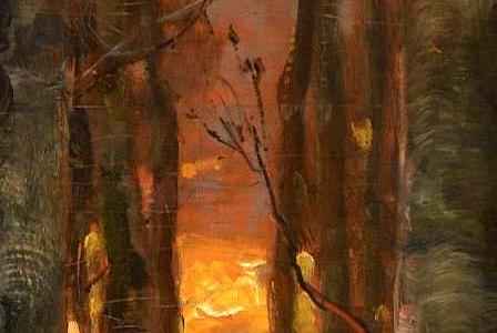 Фрагмент SUNSET-THROUGH-THE-TREES