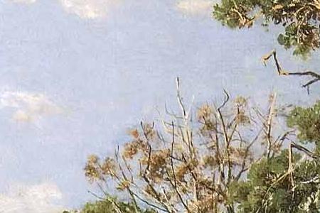 Фрагмент Святой ключ близ Елабуги. 1886.