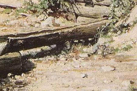 Фрагмент Святой ключ близ Елабуги.1886.