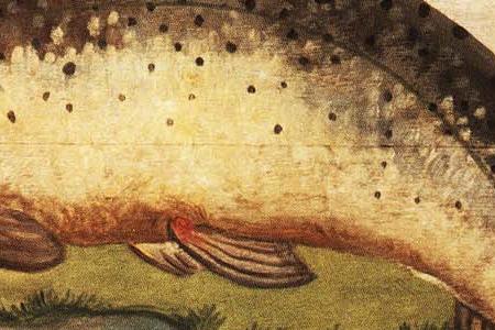 Фрагмент THE ANGLERS ARMS