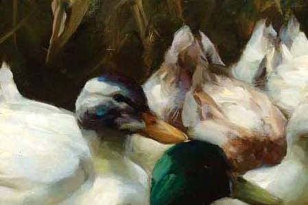 Фрагмент THE DUCK POND