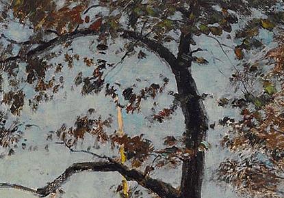 Фрагмент THE FLOWER MARKET AMSTERDAM