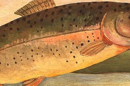 Фрагмент THE FLY FISHER