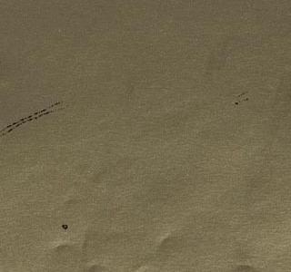 Фрагмент THE GOLD BOOK FELDMAN amp SCHELLMANN IV