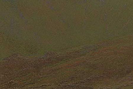 Фрагмент The haunt of the heron