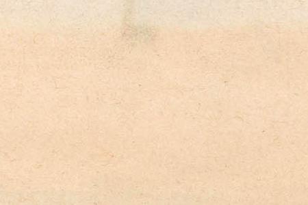 Фрагмент The Imperial Stables in Peterhof