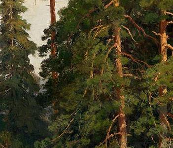 Фрагмент The Pine Forest