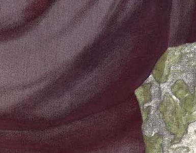 Фрагмент THE SOJOURNER