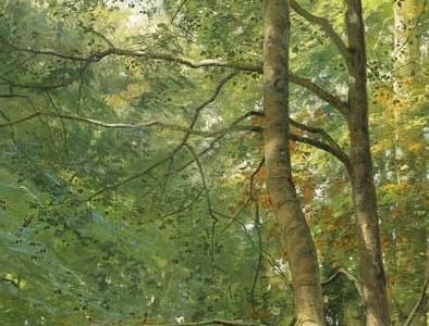 Фрагмент THE WOODLAND GLADE