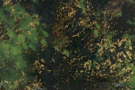 Фрагмент TIGER DRINKING