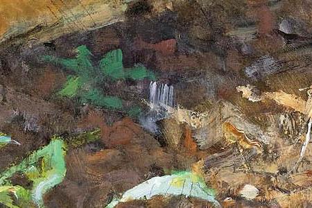 Фрагмент TIGER