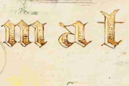 Фрагмент TOMATO