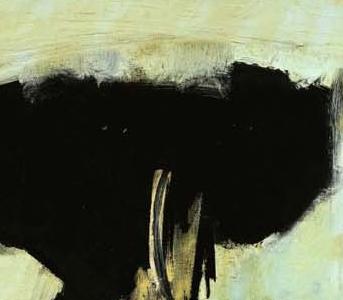 Фрагмент TORERO ASSIS