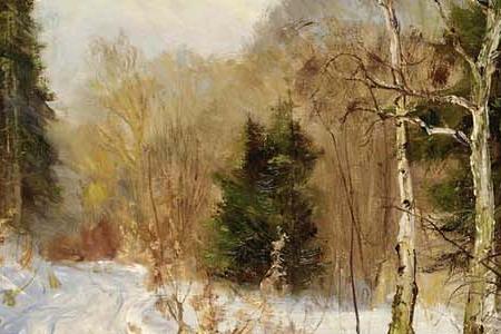 Фрагмент TRACKS IN THE SNOW