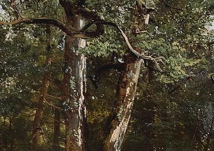 Фрагмент TREES 1836