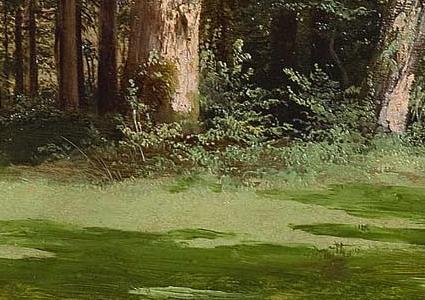 Фрагмент TREES 1836