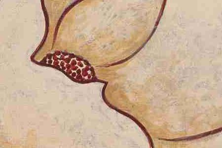 Фрагмент Цветок на красном 1