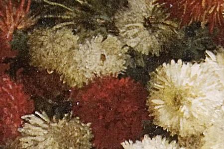 Фрагмент Цветы и фрукты.