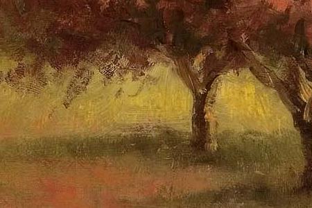 Фрагмент Tulip Sunrise.