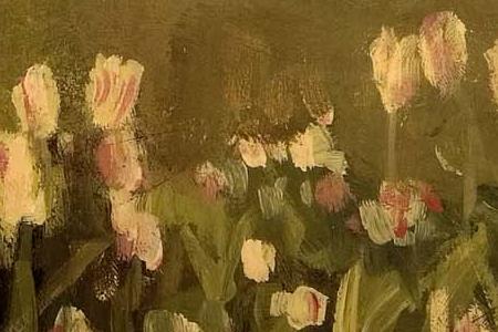 Фрагмент Tulip Sunrise.