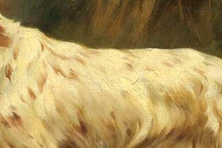 Фрагмент TWO ENGLISH SETTERS ON POINT