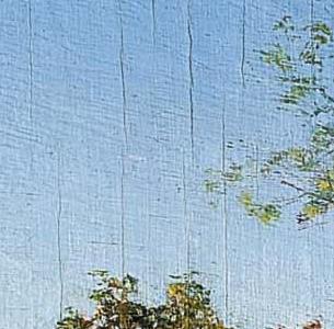 Фрагмент Угол нашей дачи