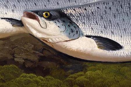 Фрагмент Улов в горной реке