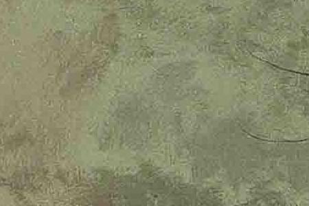 Фрагмент Under the moonbeams, Knostrop Hall