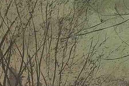 Фрагмент Under the moonbeams, Knostrop Hall