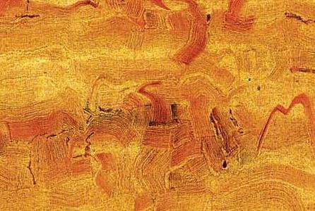 Фрагмент Untitled