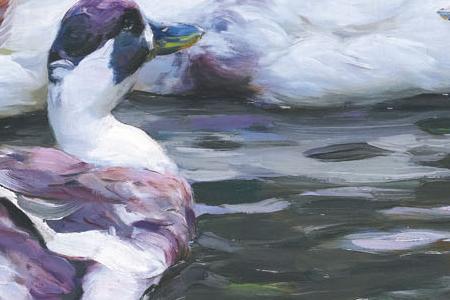 Фрагмент Утки купающиеся на пруду