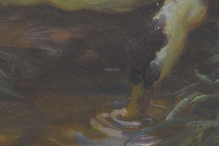 Фрагмент Утки на водопое