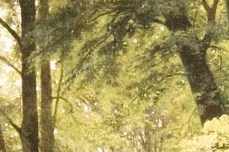 Фрагмент В лесу.1864.