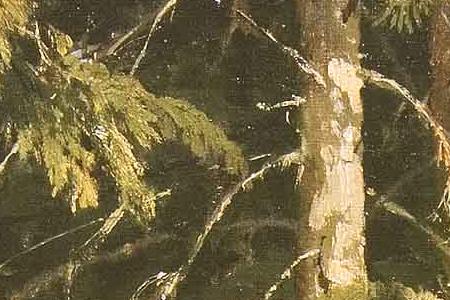 Фрагмент В лесу