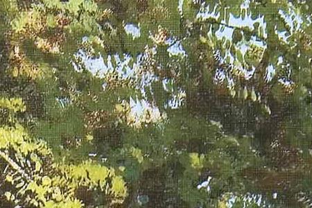 Фрагмент В парке. 1886.