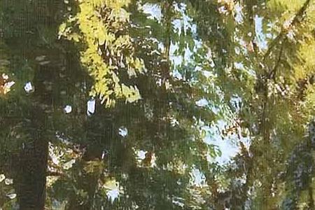 Фрагмент В парке. 1886.