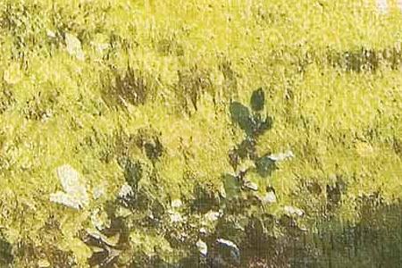 Фрагмент В парке. 1886.