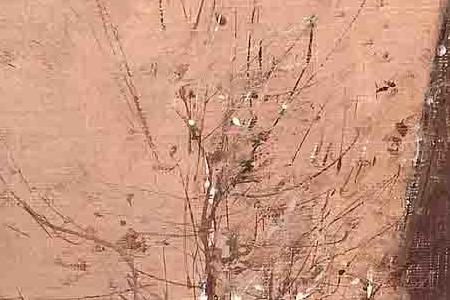 Фрагмент Вечерний Париж