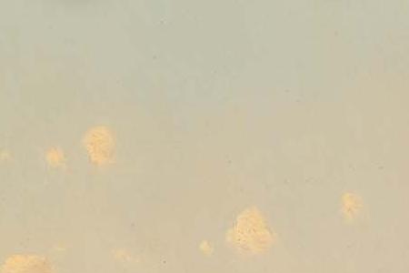 Фрагмент Венеция